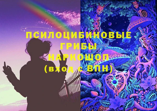 гашик Гусь-Хрустальный