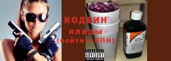 гашик Гусь-Хрустальный
