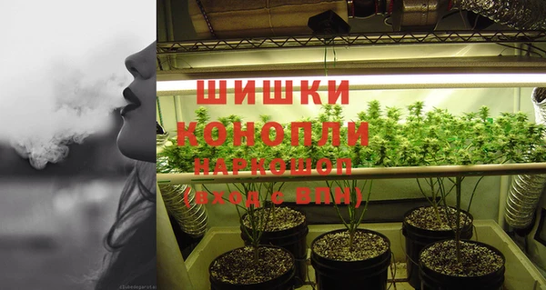 метадон Гусиноозёрск
