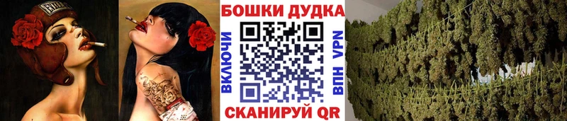 Бошки марихуана план  Дмитровск 
